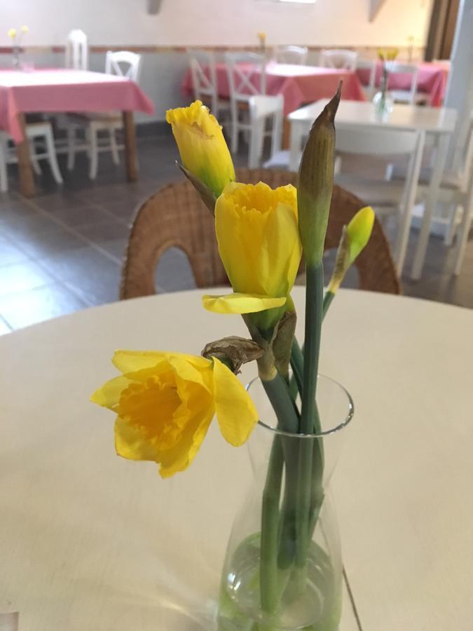 Borrby Froe B&B 외부 사진